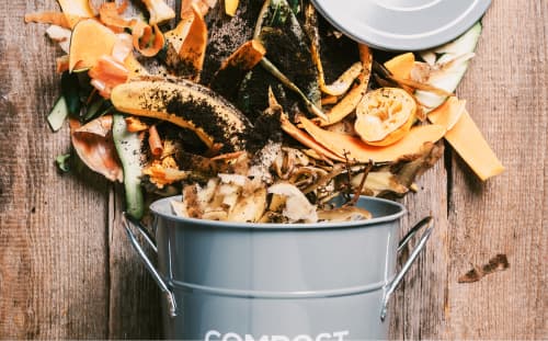 Read more about the article Organics & Food Recycling